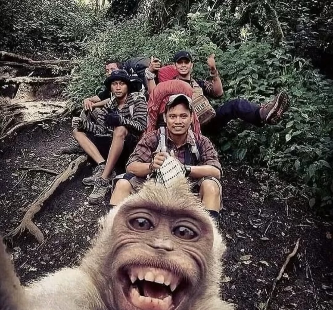 dahu