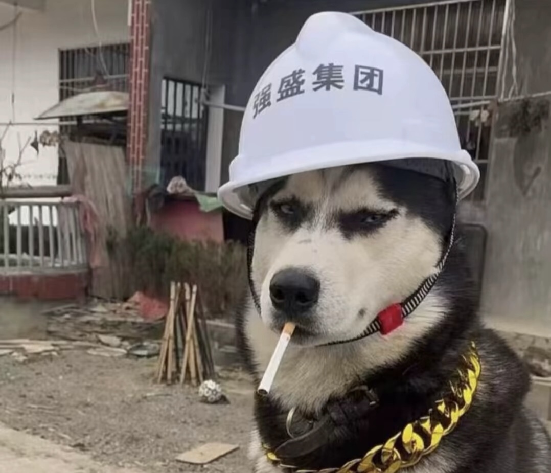 欢迎加入