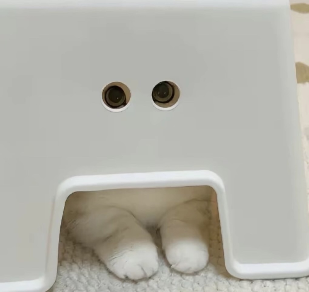 xxvu