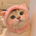 lanh